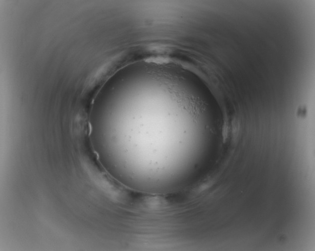 X0000114630424200910201424