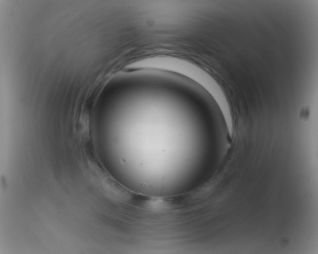 X0000114630425200910201424