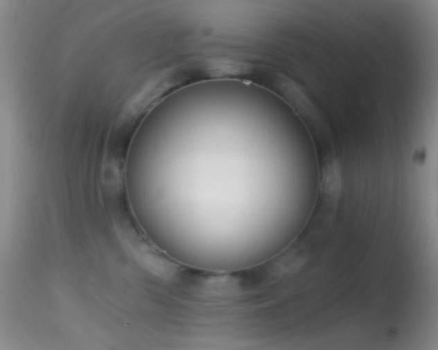 X0000114630426200910201424