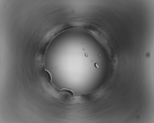 X0000114630428200910201424