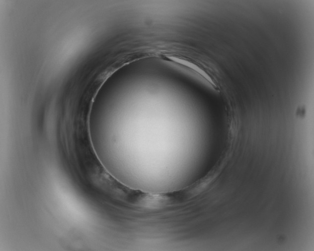 X0000114630429200910201424