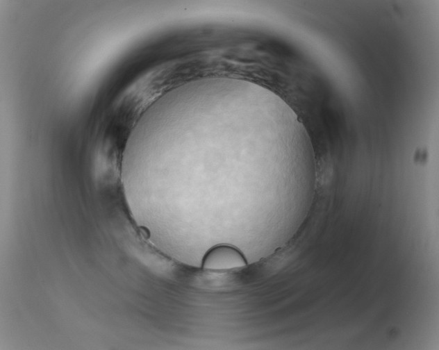 X0000114630431200910201424