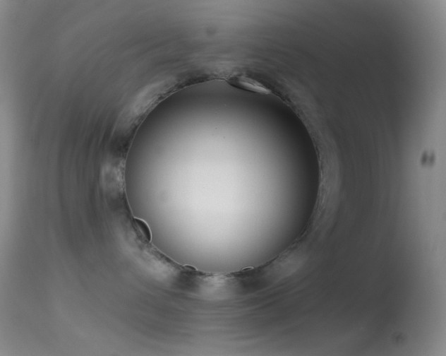 X0000114630432200910201424