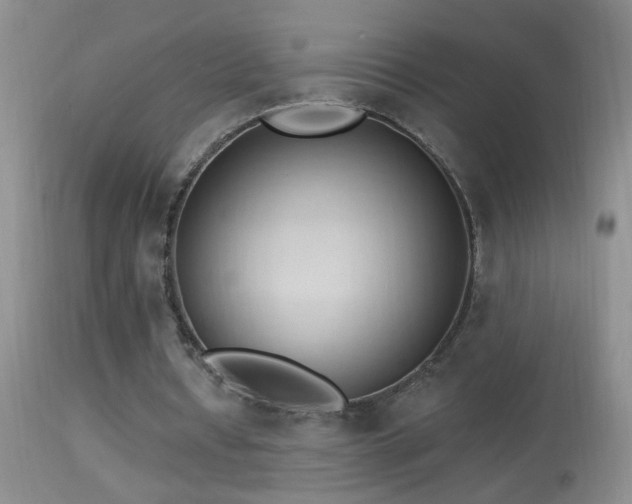 X0000114630434200910201423