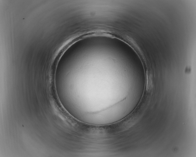 X0000114630435200910201423