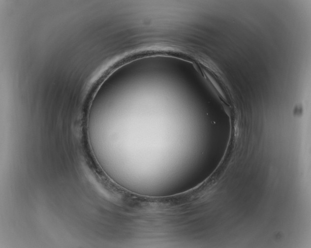 X0000114630436200910201423