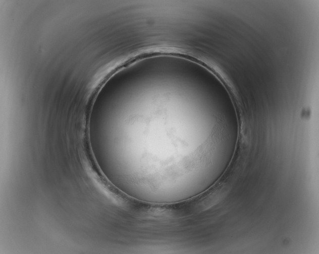 X0000114630437200910201423