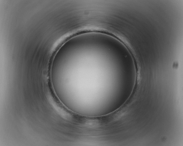 X0000114630438200910201423