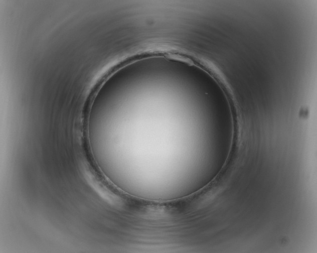 X0000114630439200910201423