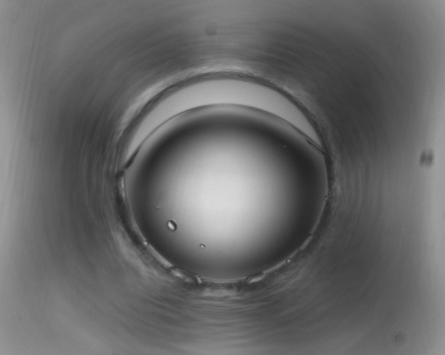 X0000114630440200910201423