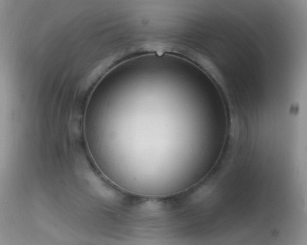 X0000114630441200910201423