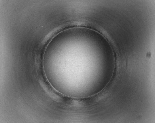 X0000114630442200910201423