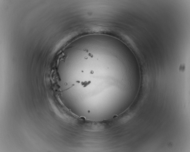 X0000114630443200910201423