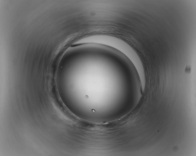 X0000114630444200910201423