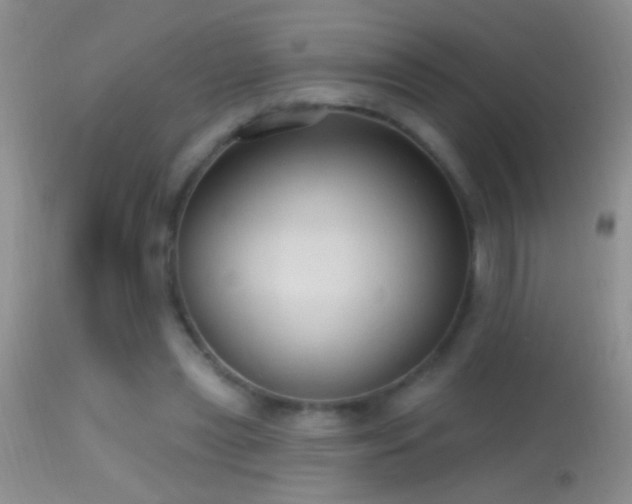 X0000114630445200910201423