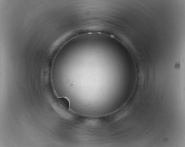 X0000114630446200910201423