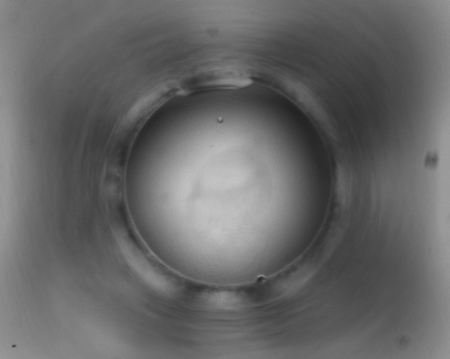 X0000114630449200910201423