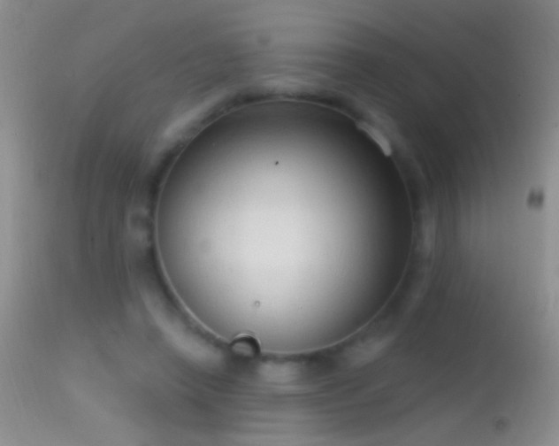 X0000114630450200910201423