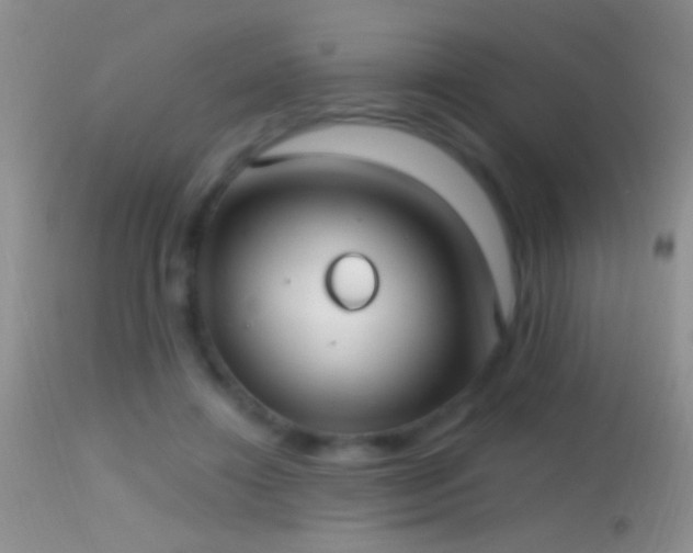 X0000114630452200910201423