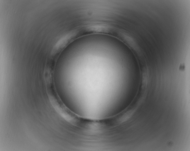 X0000114630453200910201423