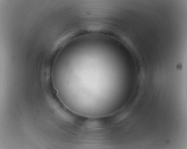 X0000114630454200910201423