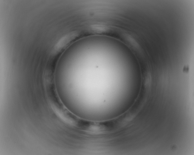 X0000114630455200910201423