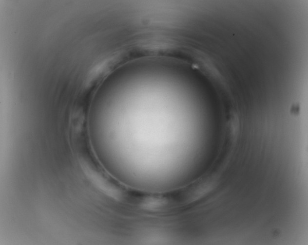 X0000114630458200910201423