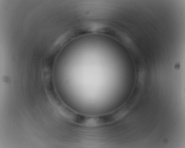 X0000114630461200910201423