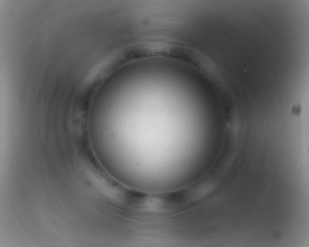 X0000114630462200910201423