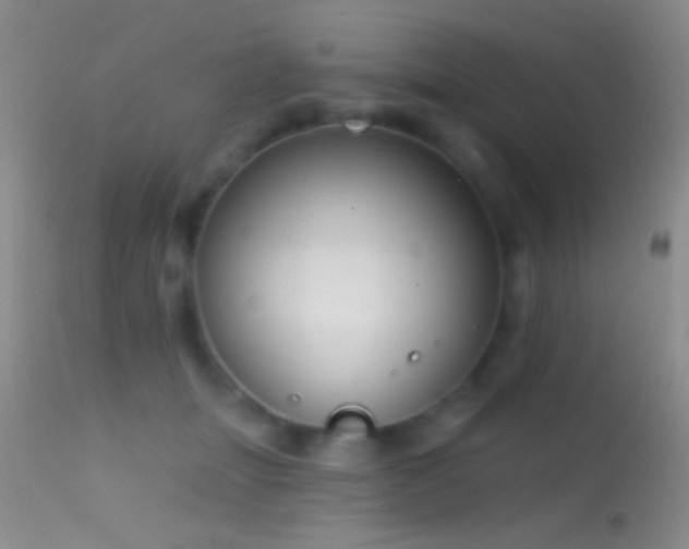 X0000114630463200910201423