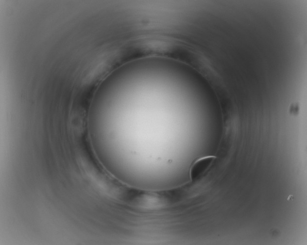 X0000114630464200910201423