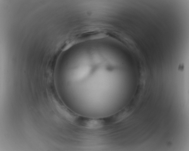 X0000114630465200910201424