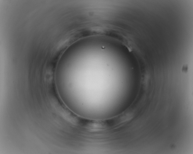 X0000114630466200910201424