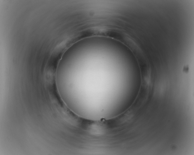 X0000114630468200910201424