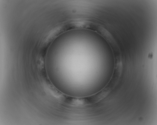 X0000114630469200910201424