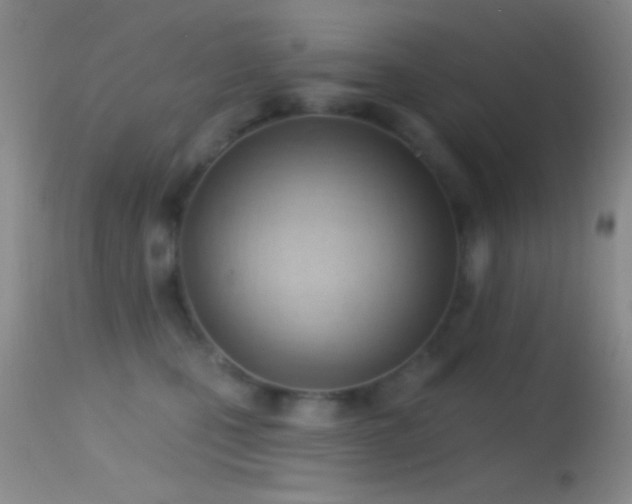 X0000114630471200910201424