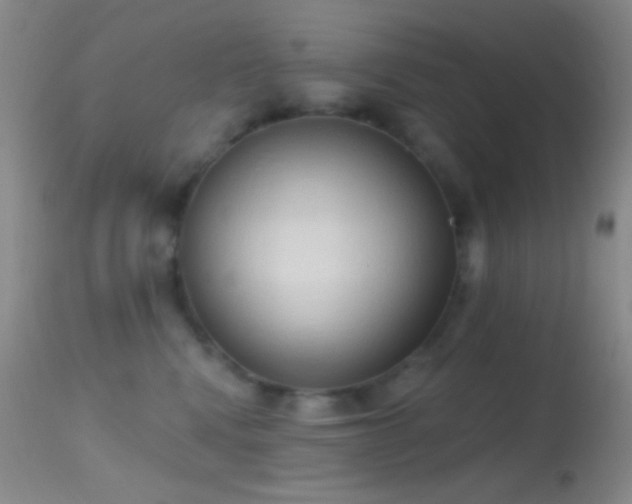 X0000114630472200910201424