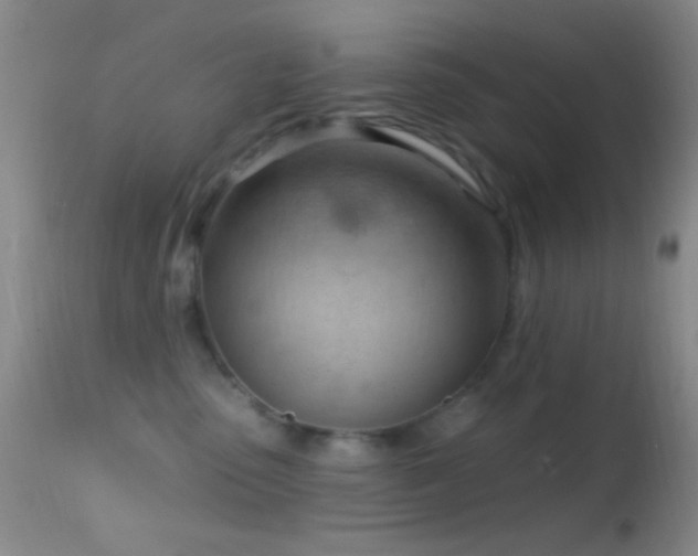 X0000114630475200910201424