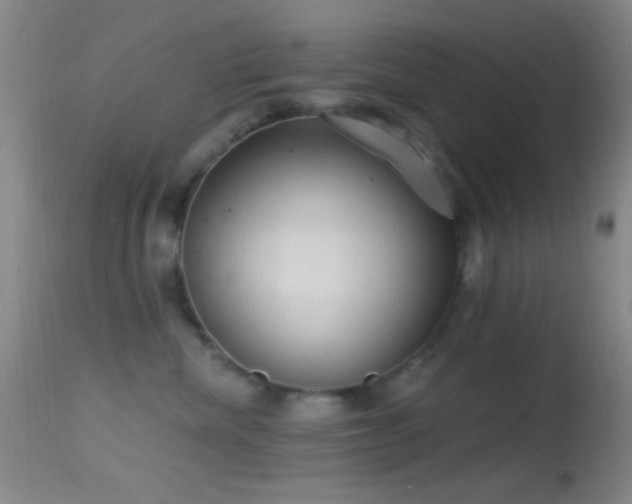 X0000114630476200910201424