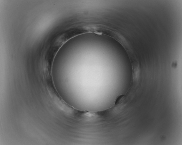 X0000114630477200910201424