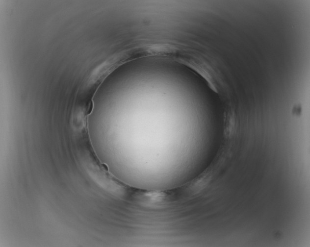 X0000114630478200910201424