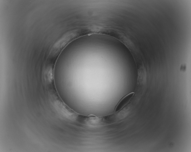 X0000114630479200910201424