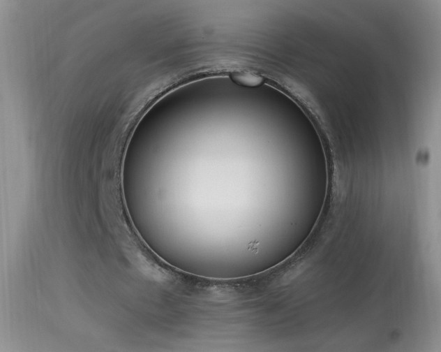 X0000114630481200910201423