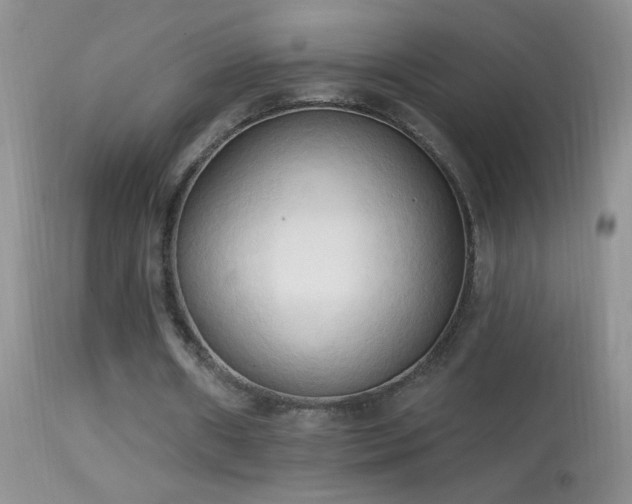 X0000114630482200910201423