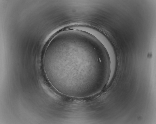 X0000114630484200910201423