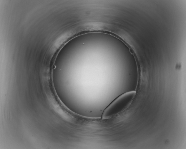 X0000114630485200910201423