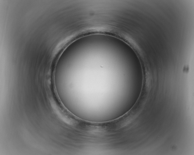 X0000114630486200910201423