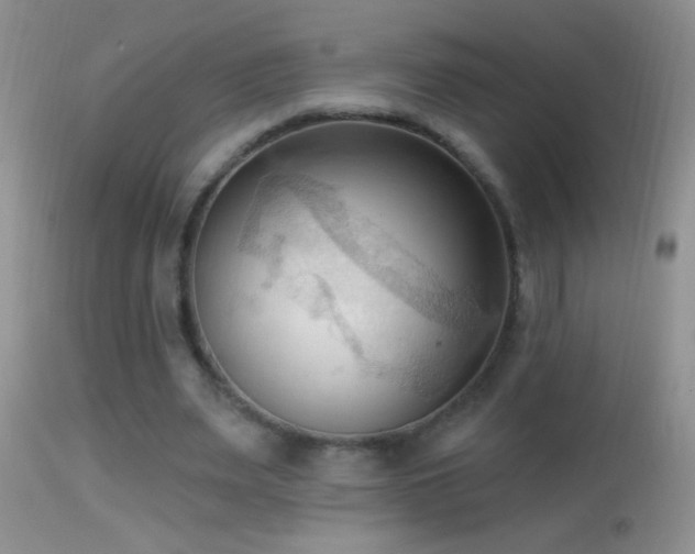 X0000114630487200910201423