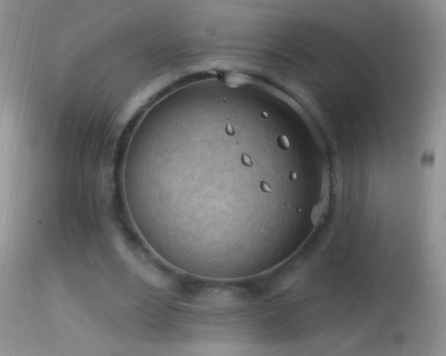 X0000114630488200910201423