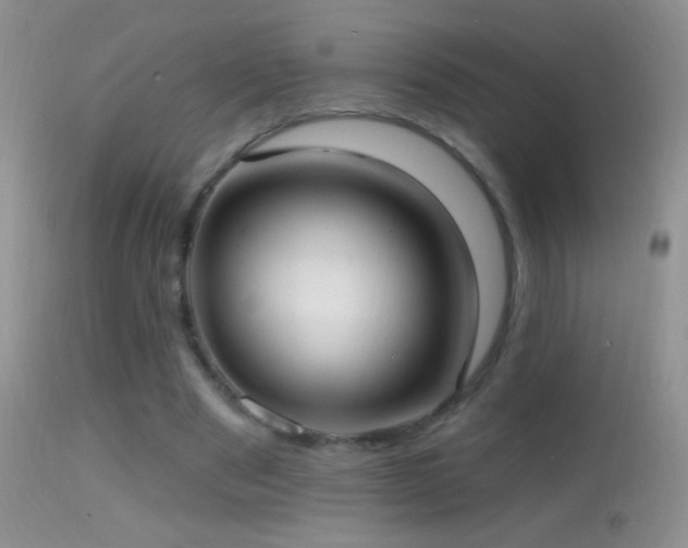 X0000114630489200910201423